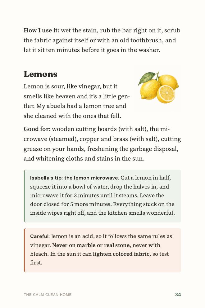 Illustrated pages on lemons and laundry soap